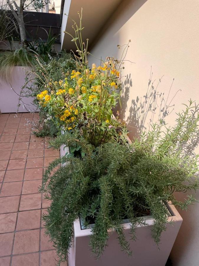 La Terrazza Sull'Arena Apartman Verona Kültér fotó